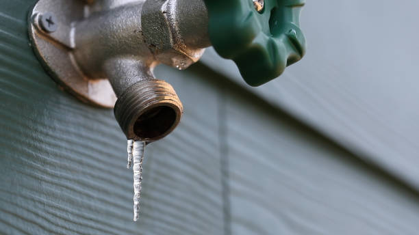 Best Emergency Plumbing Repair  in Smiths Station, AL